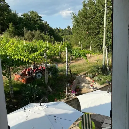 Casa Vacanze Gli Allori Venarotta Exterior foto