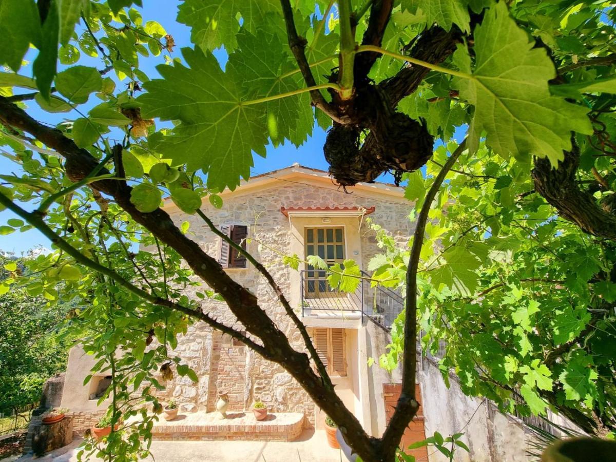 Gli Allori Venarotta