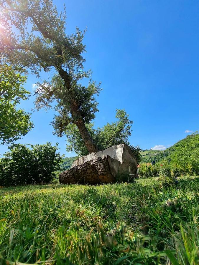 Holiday home Gli Allori Venarotta